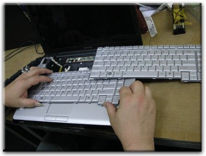 Ремонт клавиатуры на ноутбуке Toshiba в Новочебоксарске